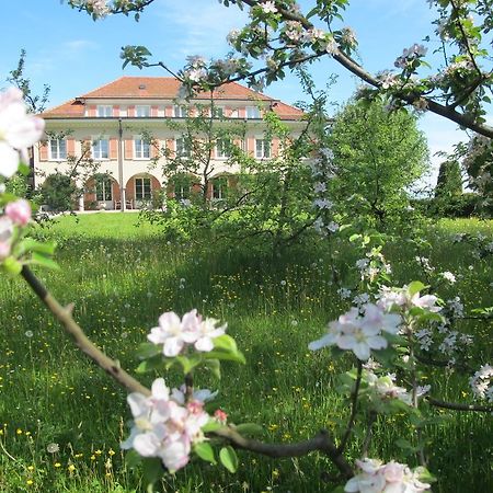 Burgbuehl Hotel Sankt Antoni Kültér fotó