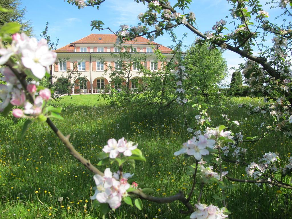 Burgbuehl Hotel Sankt Antoni Kültér fotó